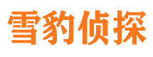 靖江市婚外情调查